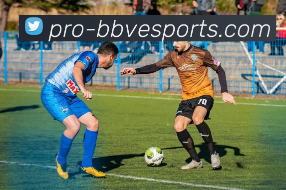 BBV电竞专业版服务体系